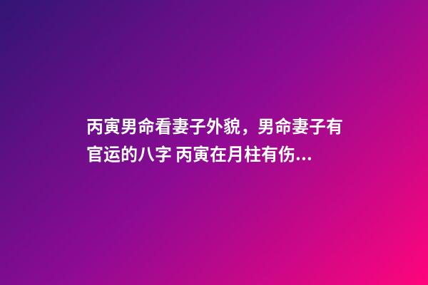 丙寅男命看妻子外貌，男命妻子有官运的八字 丙寅在月柱有伤官还是没有吗-第1张-观点-玄机派